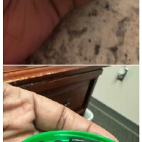 午后能量救星：URO胶囊短片