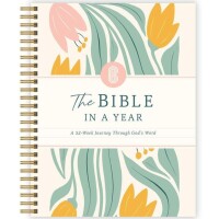 亲身分享：一年读完圣经让我释然