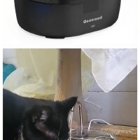 设计师的夜：超静音猫饮水机体验