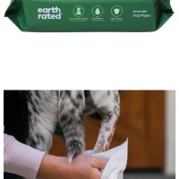 Character:-1条-2026/1/18 17:42:52