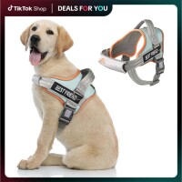 户外奔跑:犬用胸背带耐用展示