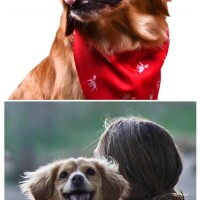 "**I. Core-1条-2026/1/22 11:44:49