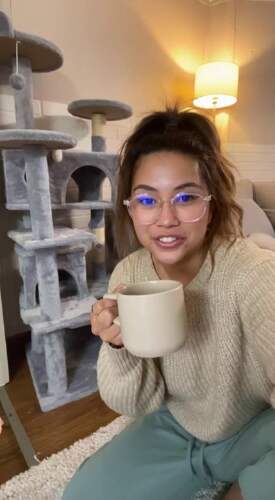 玛雅的舒适猫爬架体验