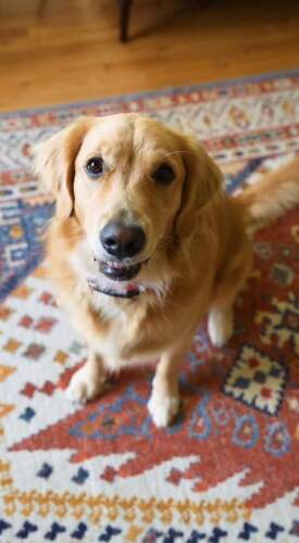 "**I. Core-1条-2026/1/22 11:44:49